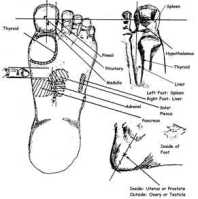reflexology chart
